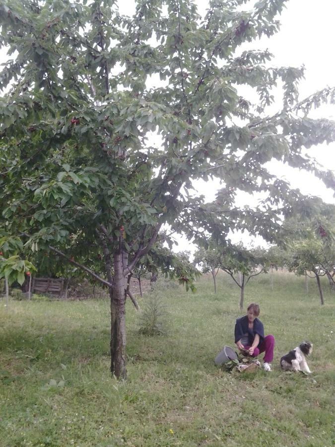 Agriturismo Persichitti Torricella Peligna Esterno foto
